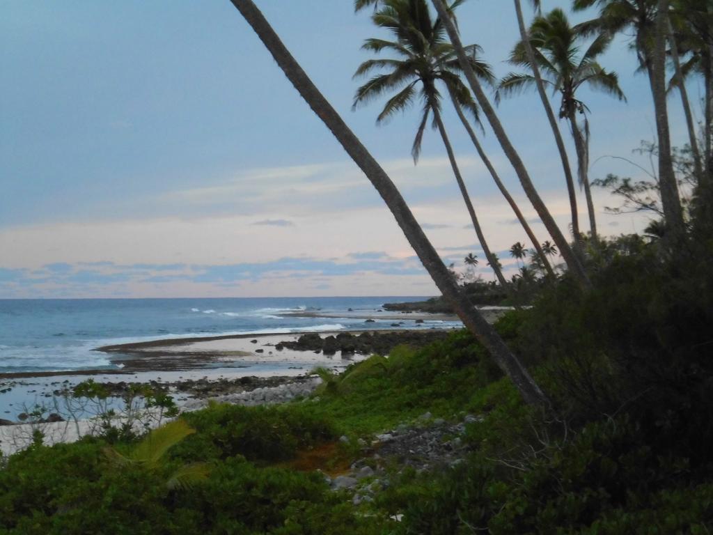 Herons Reef Holiday Apartments Rarotonga Exteriér fotografie